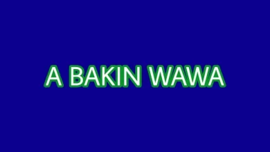 A BAKIN WAWA COMPLETE HAUSA NOVEL