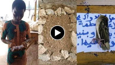 Wani Matashi a garin Kudan ya yima Tsunsunshi Jana’iza bayan mutuwar tsuntsun.