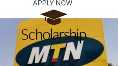 Apply MTN science and technology scholarship.